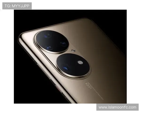 尊龙app登录线路设置后常见故障排查及解决建议