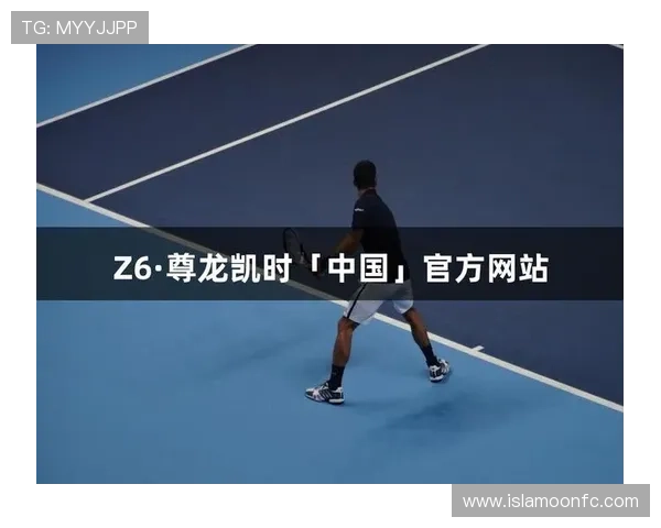 尊龙集团登录入口网站官网：官方平台功能介绍与使用指南