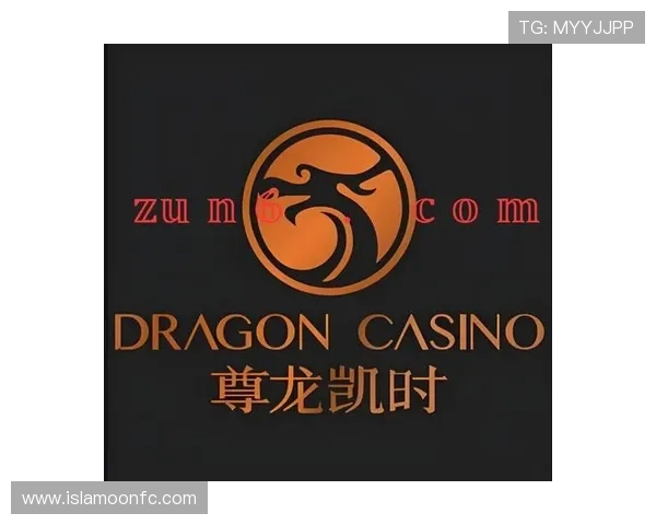 尊龙凯时平台入口登录遇到问题怎么办?详细解决方案与客服联系方式 尊龙凯时平台入口登录遇到问题怎么办?详细解决方案与客服联系方式