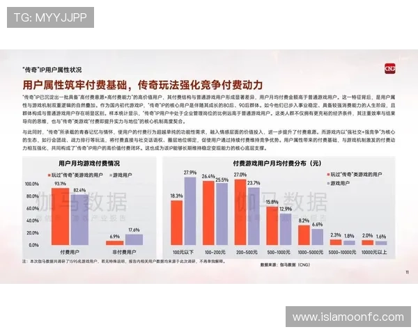 尊龙集团(Z6)在网络游戏行业中的创新实践与核心竞争力分析报告